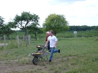 steuerliches Schubkarrenrennen